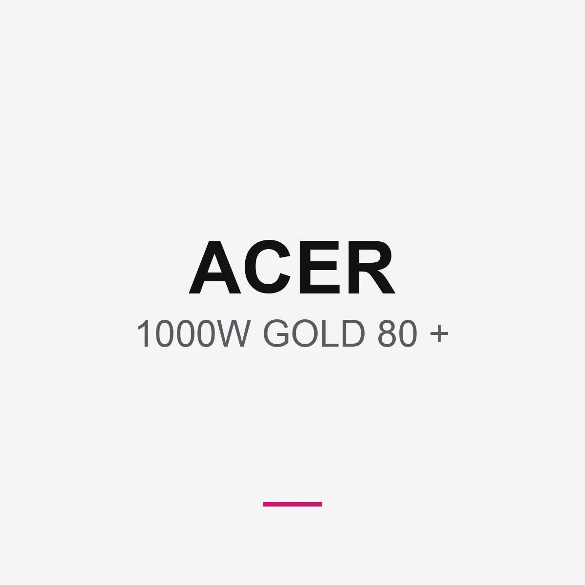 ACER 1000W GOLD 80 +
