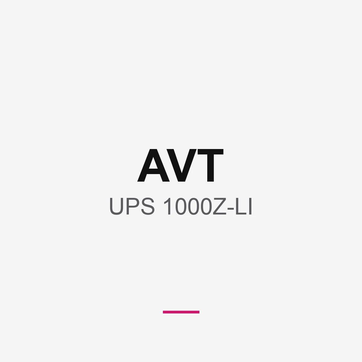 AVT UPS 1000Z-LI