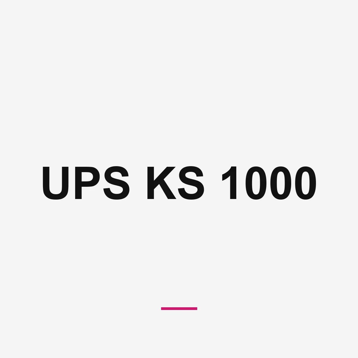 UPS KS 1000