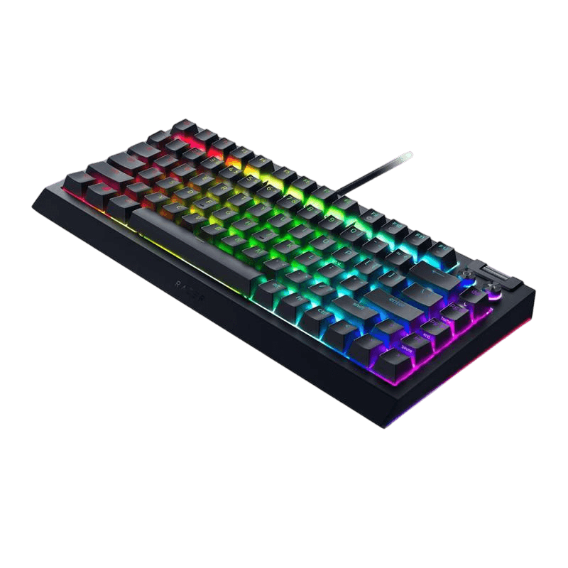 RAZER BLACKWIDOW V4 75% — фото 3
